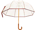 Guarda-chuva